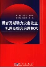 媒岩瓦斯动力灾害发生机理及综合治理技术