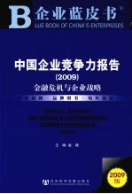 中国企业竞争力报告  2009  金融危机与企业战略