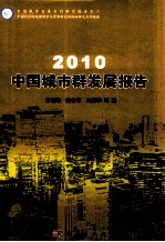 2010中国城市群发展报告