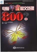 电脑印前图文处理800问