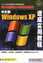 中文版Windows XP速成实用教程