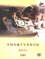 中国实施千年发展目标进展情况  联合国驻华机构评估报告  2003