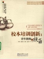 校本培训创新  青年教师的视角