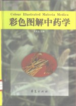 彩色图解中药学