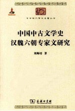 中国中古文学史  汉魏六朝专家文研究