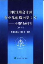 中国注册会计师执业规范指南第4号  小规模企业审计  试行