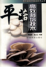 平菇高效栽培技术