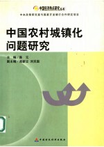 中国农村城镇化问题研究