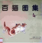 百猫图集