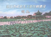 湛江市社会主义新农村建设巡礼