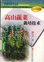 高山蔬菜栽培技术