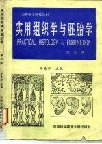 实用组织学与胚胎学