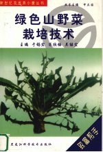 绿色山野菜栽培技术