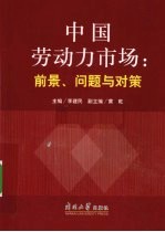 中国劳动力市场  前景、问题与对策