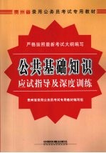 公共基础知识应试指导及深度训练  2009