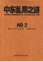 中东乱局之谜  NO 2