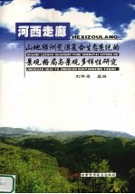 河西走廊山地绿洲荒漠复合生态系统的景观格局与景观多样性研究