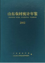 山东农村统计年鉴  2002