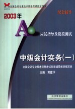 2003年应试指导及模拟测试  中级会计实务  1