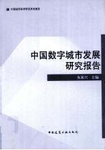 中国数字城市发展研究报告  2010年