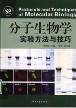 分子生物学实验方法与技巧