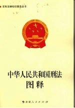 中华人民共和国刑法图释