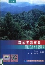 森林资源核算 上 理论方法 海南案例 绿色GDP 绿色政策