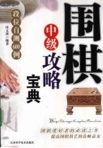 围棋中级攻略宝典  段位测试与提高601例