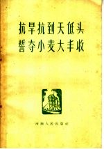 抗旱抗到天低头誓夺小麦大丰收  战胜干旱夺取农业大丰收文件