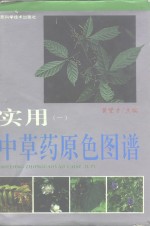 实用中草药原色图谱  1