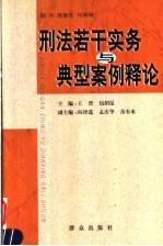 刑法若干实务与典型案例释论