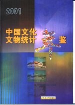 中国文化文物统计年鉴  2001