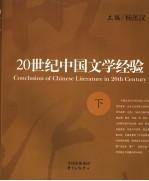 20世纪中国文学经验  下