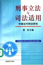 刑事立法与司法适用  中国当代刑法研究