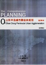 山东半岛城市群总体规划  说明书