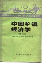 中国乡镇经济学