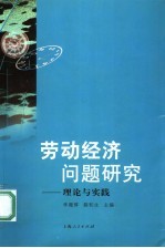 劳动经济问题研究  理论与实践