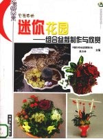 容器中的迷你花园  组合盆栽制作与欣赏