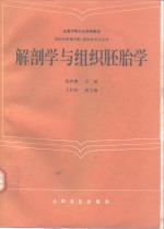 解剖学与组织胚胎学