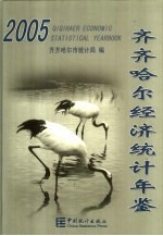 齐齐哈尔经济统计年鉴  2005  总第17期