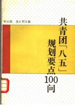 共青团“八五”规划要点100问