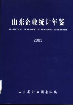 山东企业统计年鉴  2003