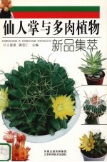 仙人掌与多肉植物新品集萃