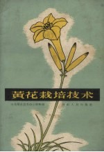 黄花栽培技术  农民黄德卿、胡菊卿谈经验