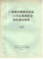 广西都安瑶族自治县三只羊区瑶族社会历史调查报告