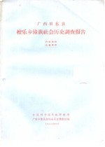 广西田东县檀乐乡壮族社会历史调查报告