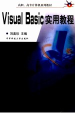 Visual Basic实用教程