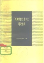 “可调整的资本主义”理论批判