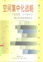 空间集中化战略  产业集聚、人口集中与城市化发展战略研究