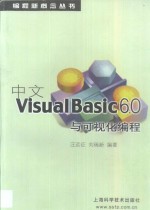 中文Visual Basic 6.0与可视化编程